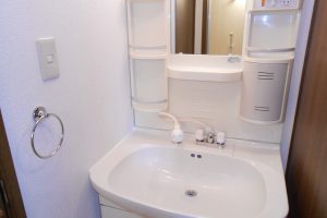 レペルトウス　（契約済・ありがとうございました。） イメージ