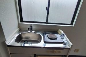 フリージア葛城　110号室　近鉄八尾駅徒歩５分　レディースマンション イメージ