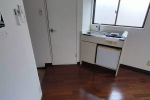 フリージア葛城　110号室　近鉄八尾駅徒歩５分　レディースマンション イメージ